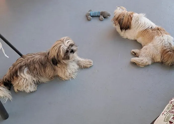 La Fontanella * Polverara