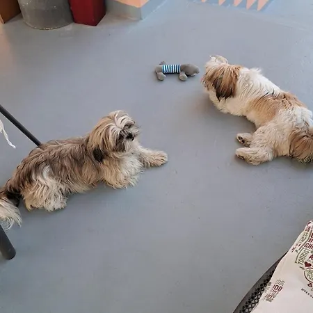 La Fontanella * Polverara